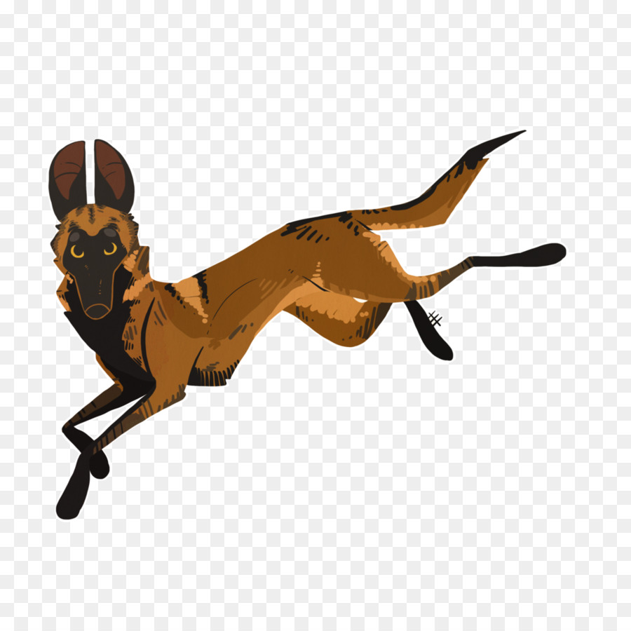 Gato，Perro PNG