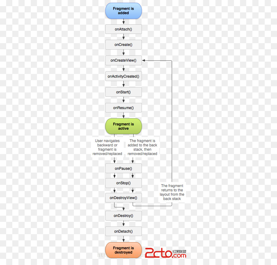 A Través De Un Agujero Cosas，Ciclo De Vida Biológico PNG