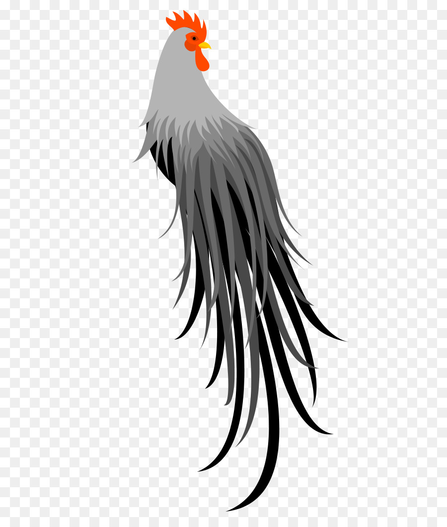 Gallo，Aves PNG