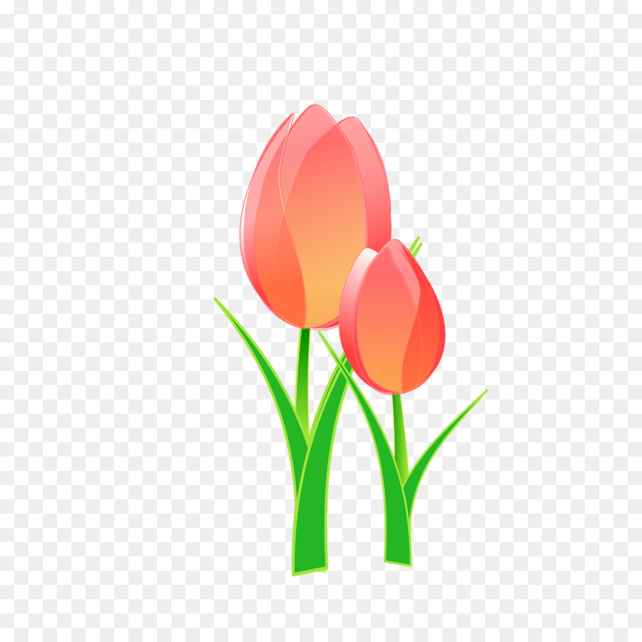 El Día De La Madre，Tulip PNG