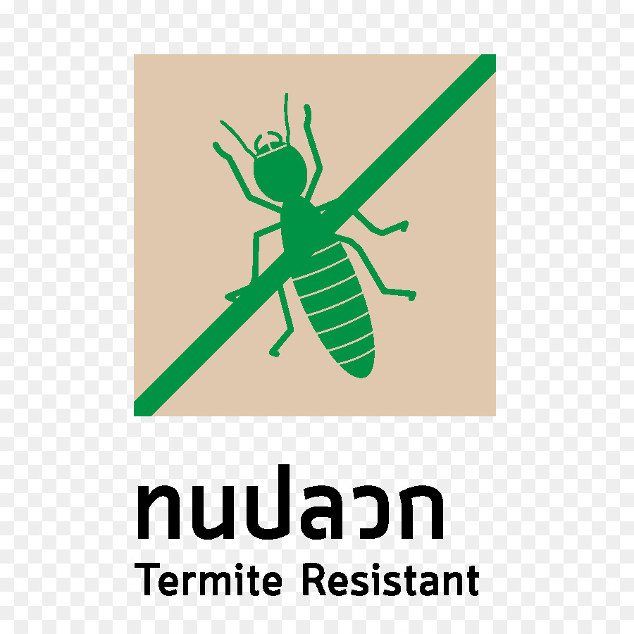 Logotipo，Los Insectos PNG