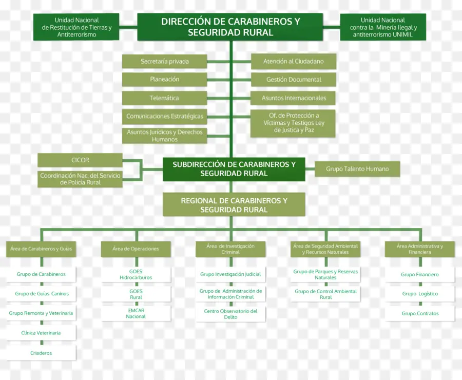 Organigrama，Estructura PNG