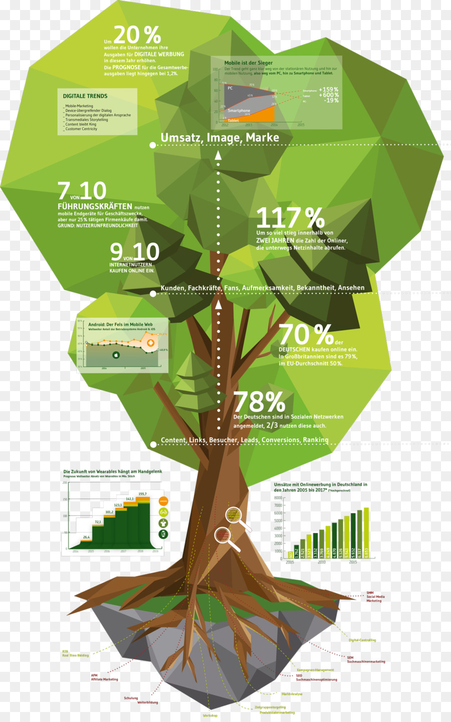 Árbol De Crecimiento Empresarial，Crecimiento PNG