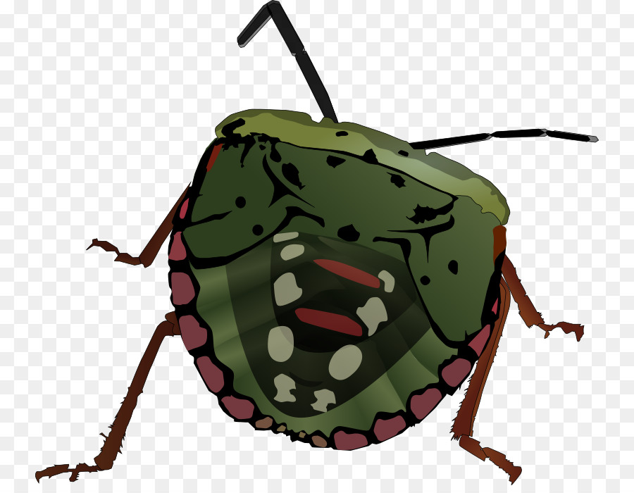 Escarabajo，La Verdadera Errores PNG