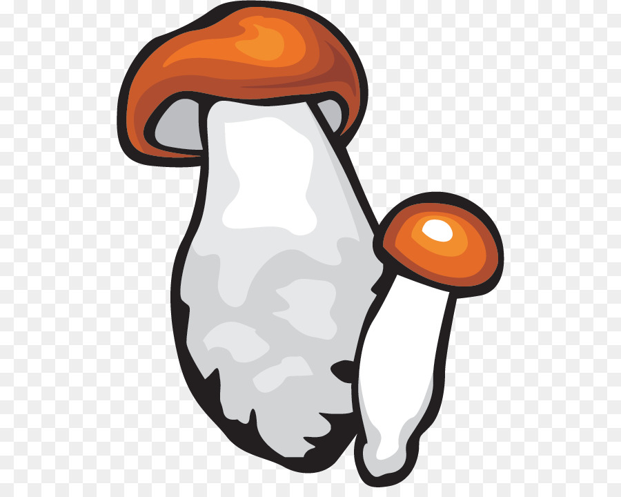 Seta，Shiitake PNG