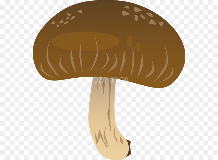 Sombrero，Seta PNG