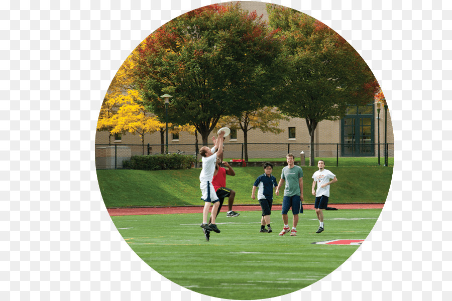 La Universidad Carnegie Mellon，Carnegie Mellon Tartán De Fútbol PNG