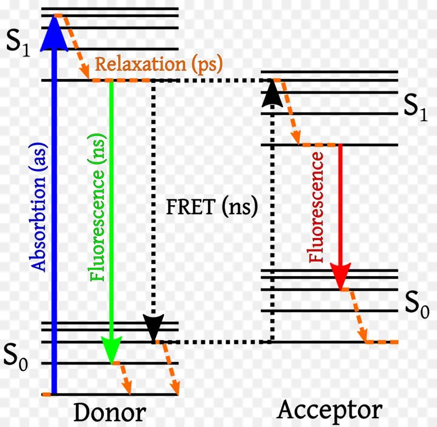 Diagrama De Energía，Ciencia PNG