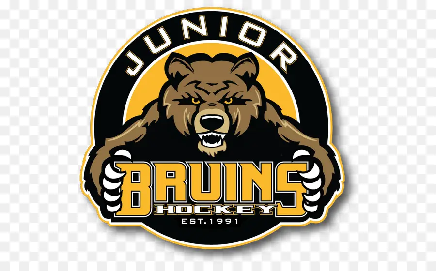 Boston Bruins Junior，Los Bruins De Boston PNG