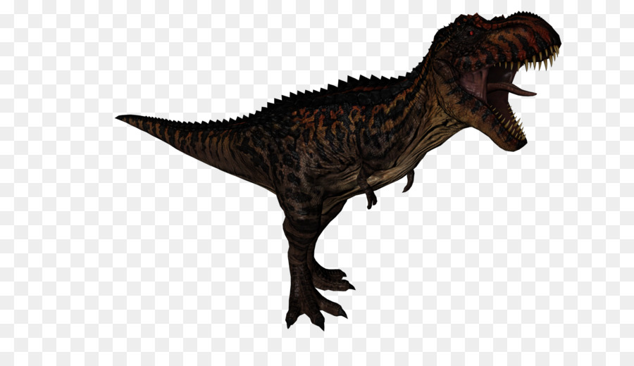 Ceratosaurus，Tyrannosaurus PNG