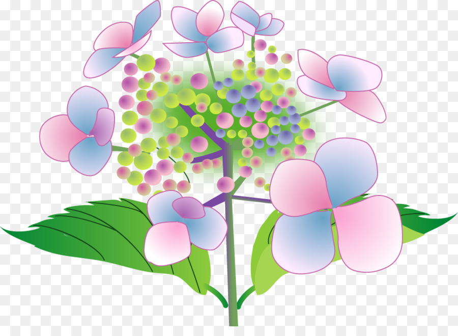 French Hydrangea，Hondoji Templo PNG