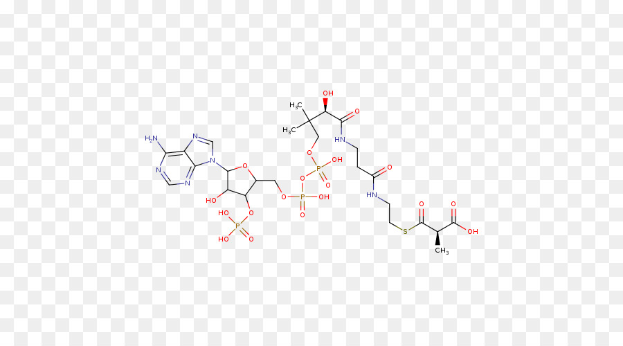 Estructura Química，Molécula PNG