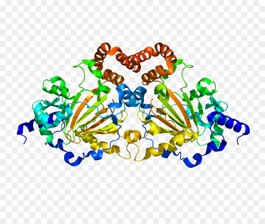 Jmjd6，La Enzima PNG