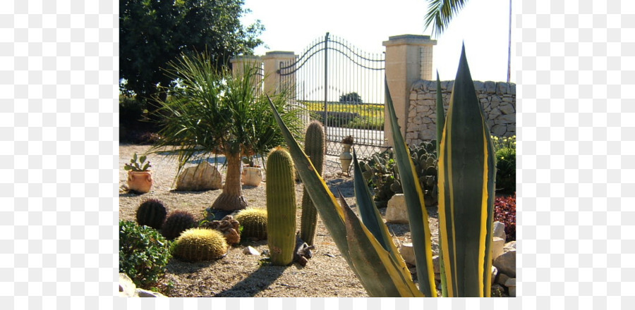 Jardín Majorelle，Majorelle Azul PNG