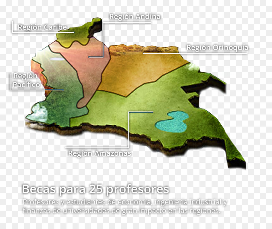 Ecosistema，Animal PNG