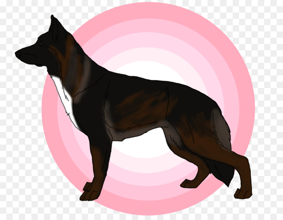 Raza De Perro，Perro PNG