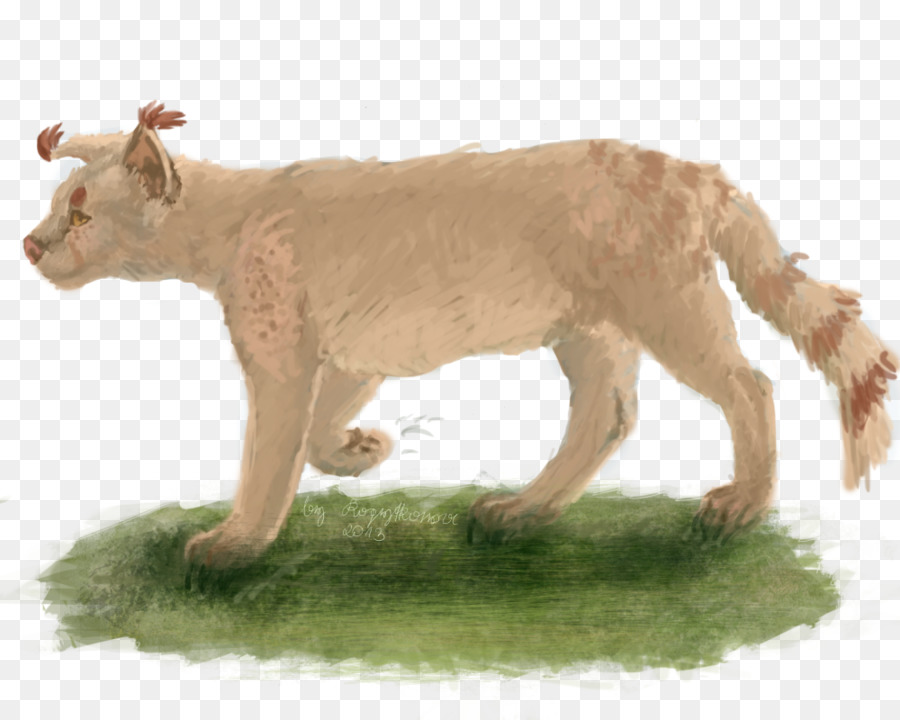 León，Gato PNG