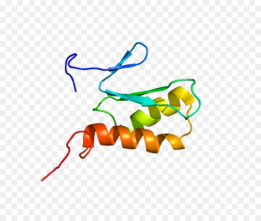 Línea，Diseño Gráfico PNG