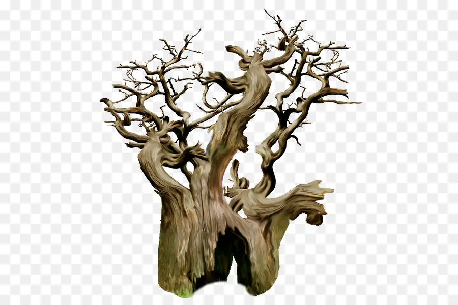 Tronco，Árbol PNG