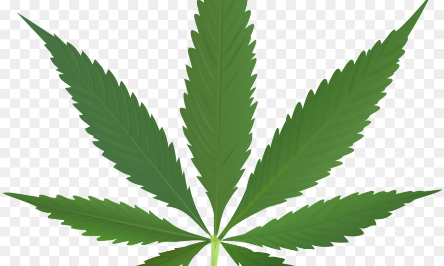 Hoja De Cannabis，Marijuana PNG