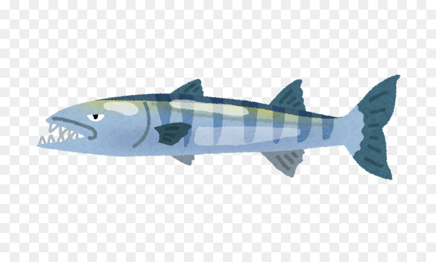 Gran Barracuda，Tiburones Miserables PNG