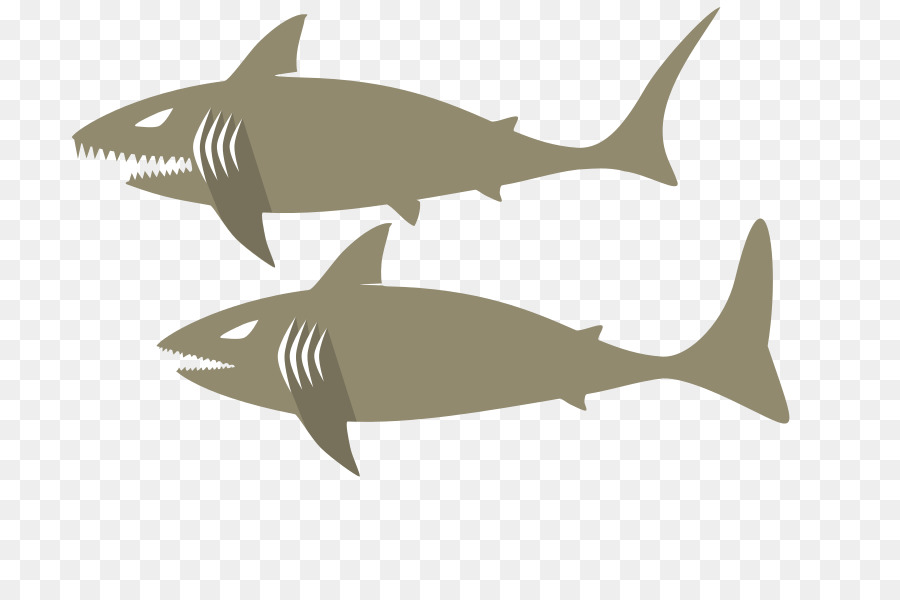 Tigre，Squaliform Tiburones PNG