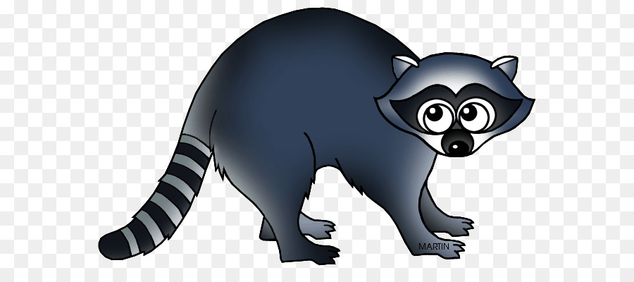 Mapache，Ardilla PNG