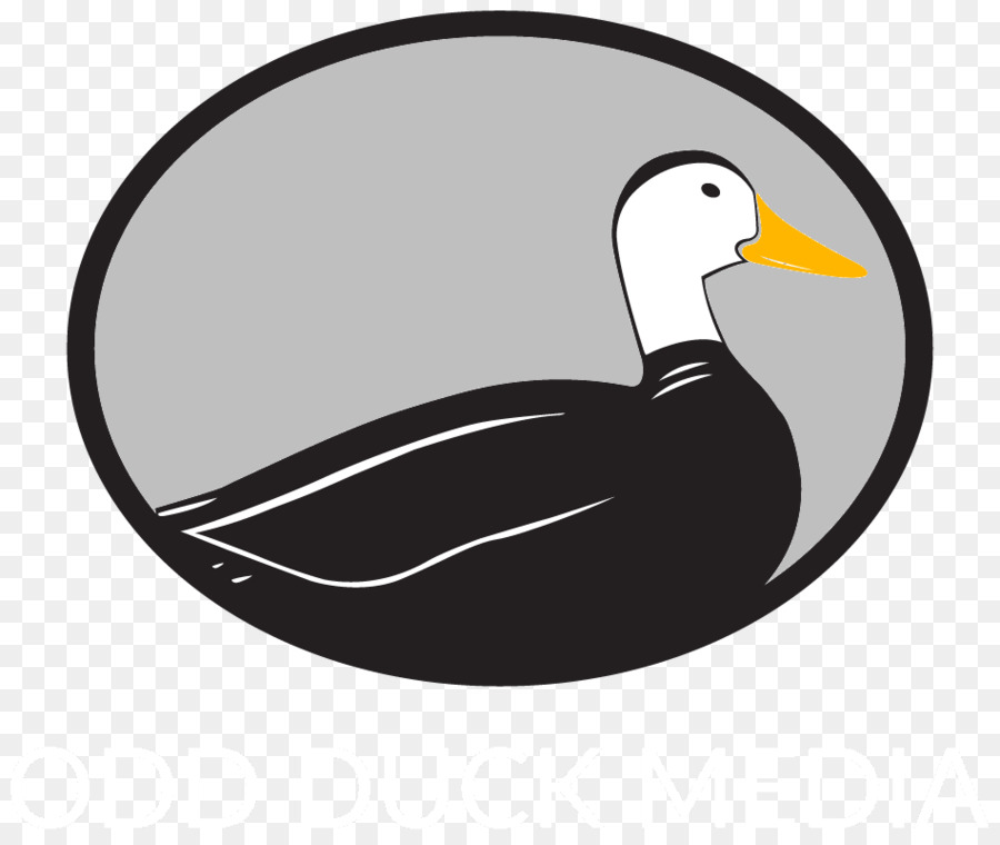 Extraño Pato Medios De Comunicación，Negocio PNG