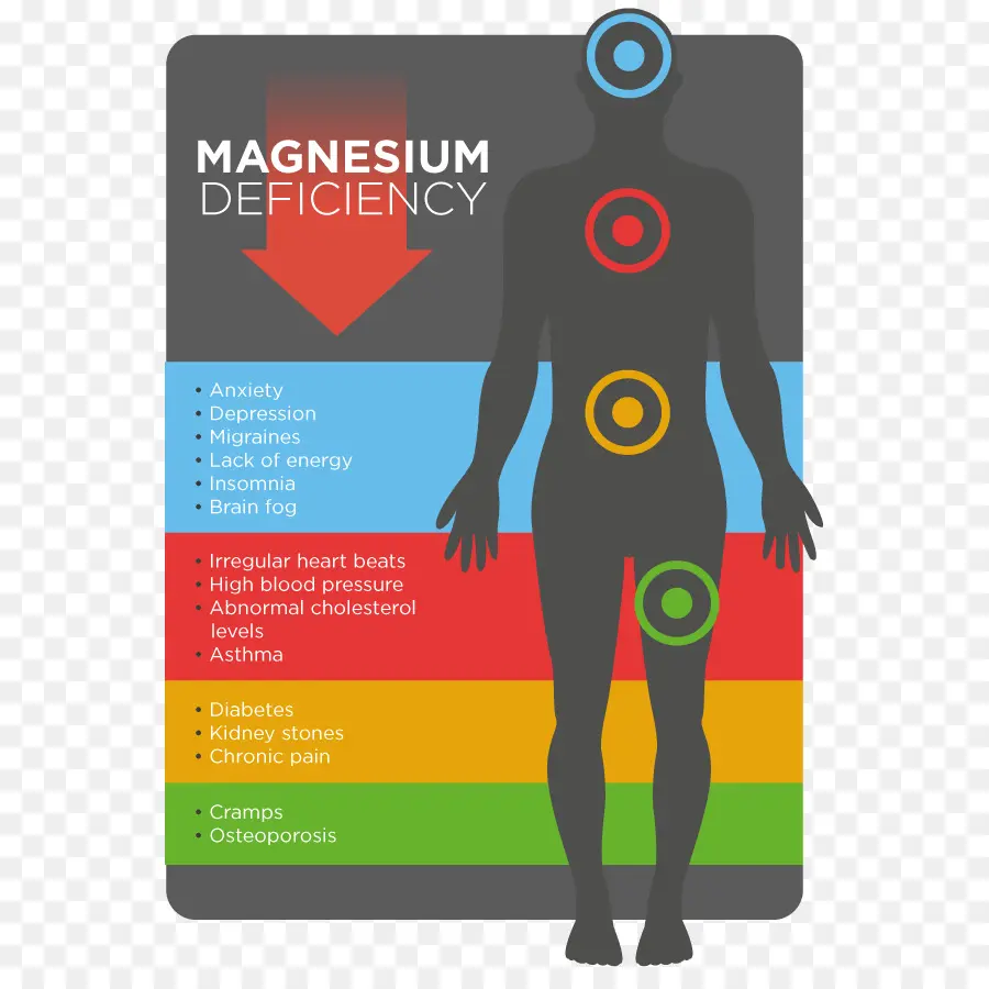 Suplemento Dietético，La Deficiencia De Magnesio PNG