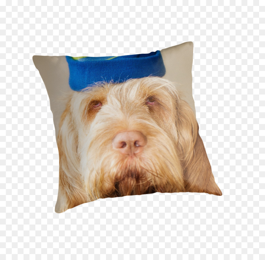 Perro，Tirar Almohadas PNG