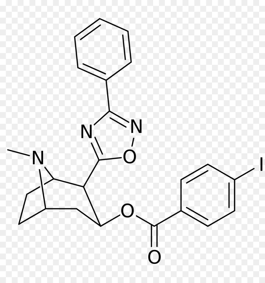 Estructura Química，Molécula PNG