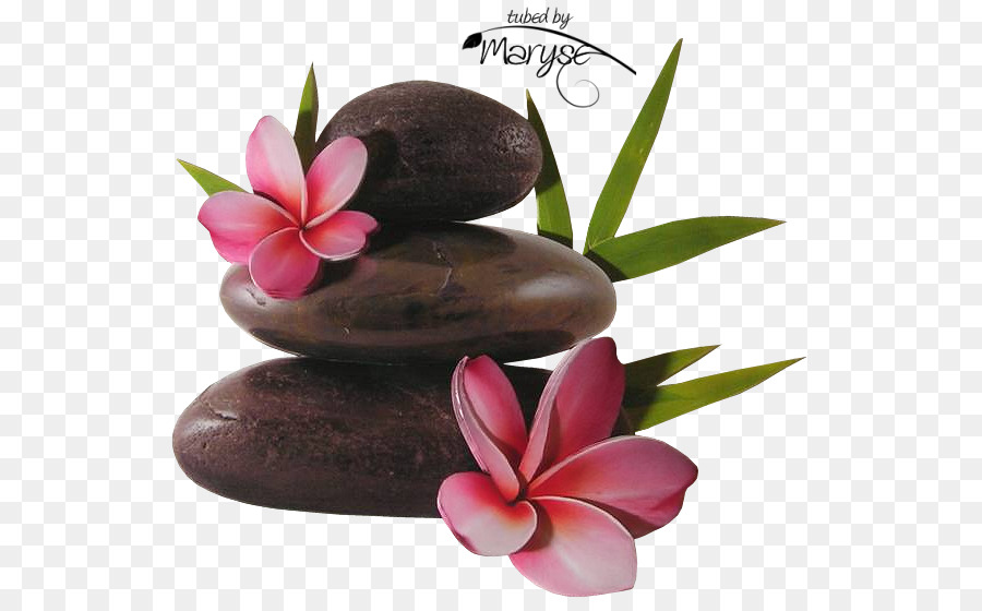 Piedras Apiladas Con Flores，Zen PNG