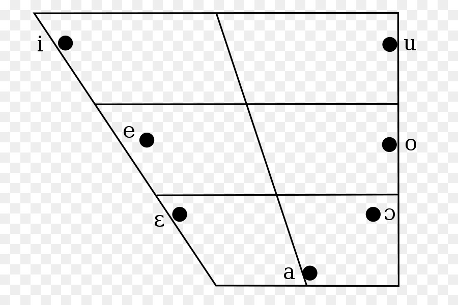 Vocal，Vocal Diagrama PNG