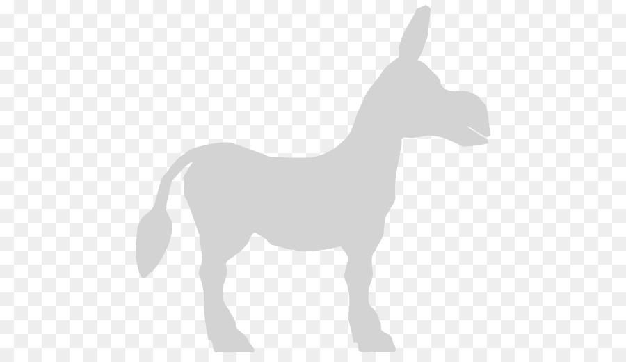 Mula，Burro PNG