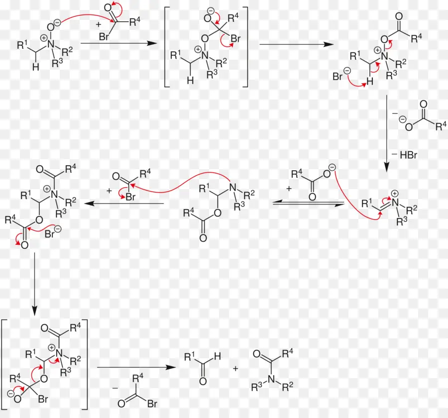Aplicaciones Estratégicas De Nombre De Reacciones De Síntesis Orgánica，Polonovski Reacción PNG