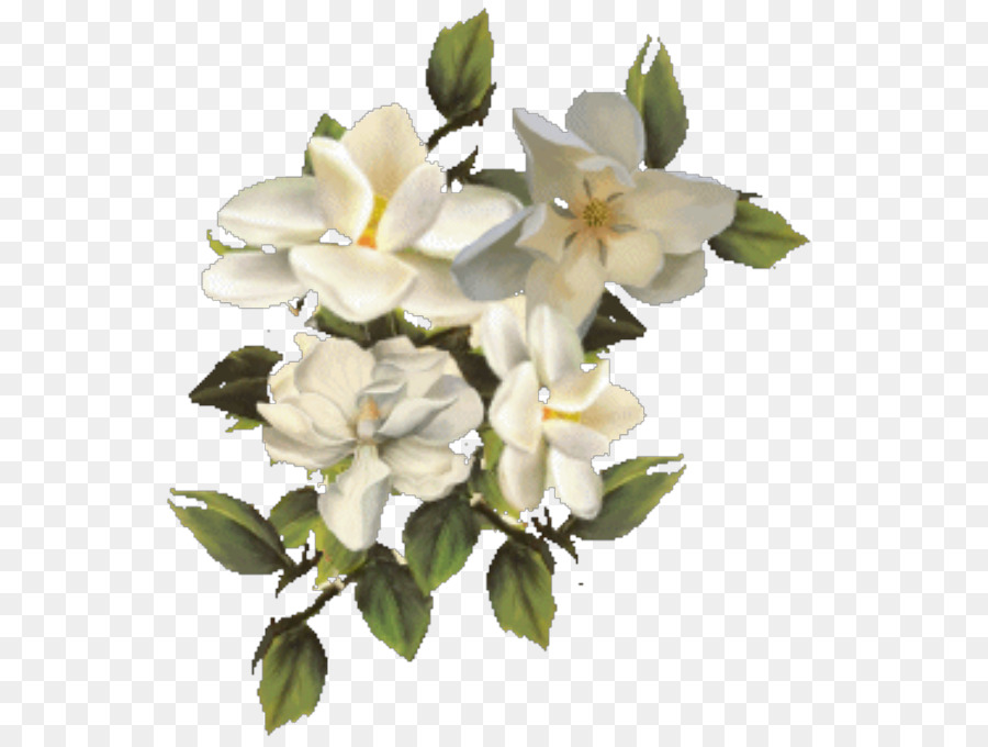Flor，Las Flores Cortadas PNG