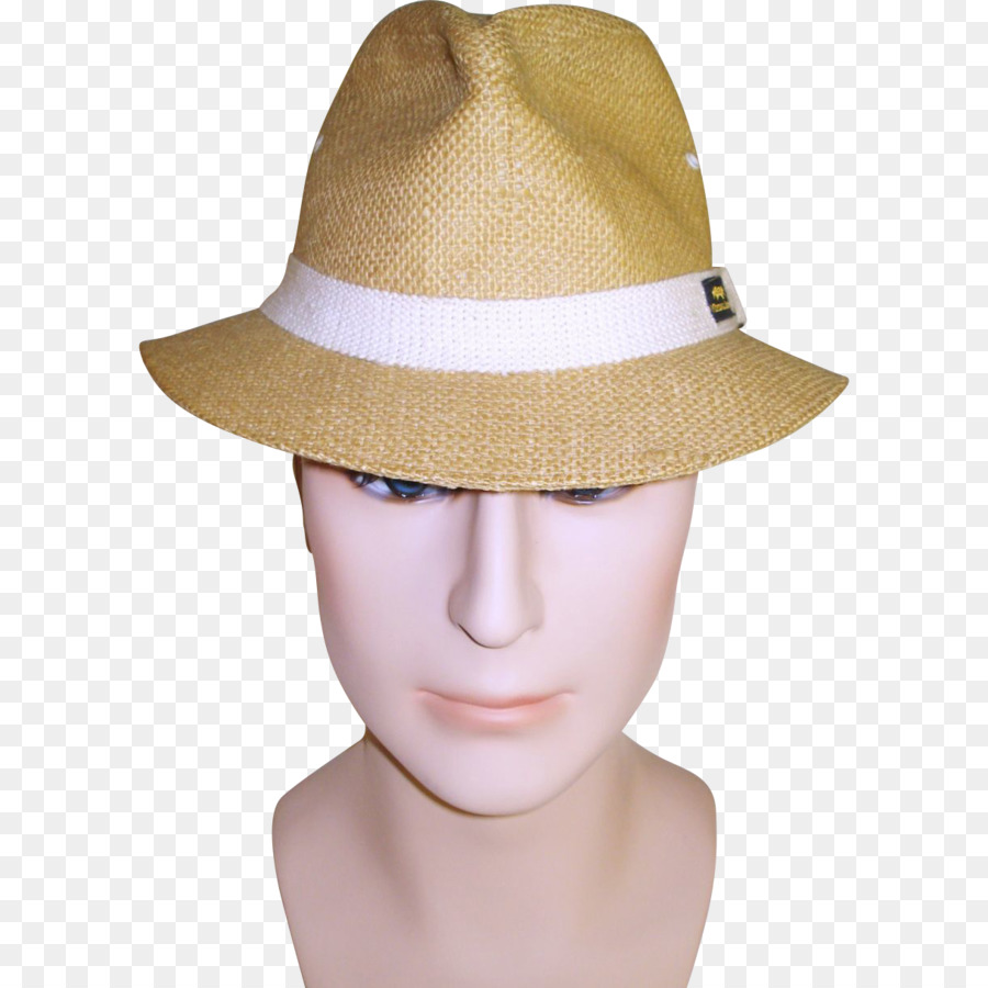 Sombrero Para El Sol，Fedora PNG