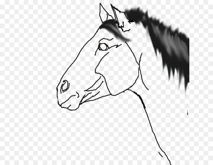 Cabeza De Caballo，Bosquejo PNG