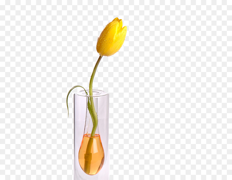 Todavía Vida La Fotografía，Florero PNG