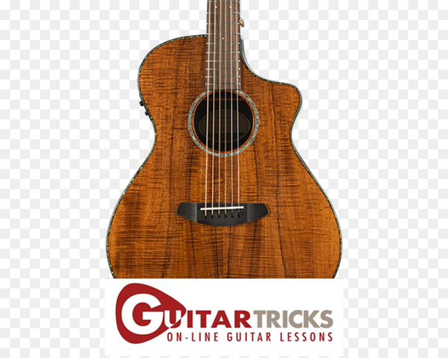 Guitarra，Lecciones En Línea PNG