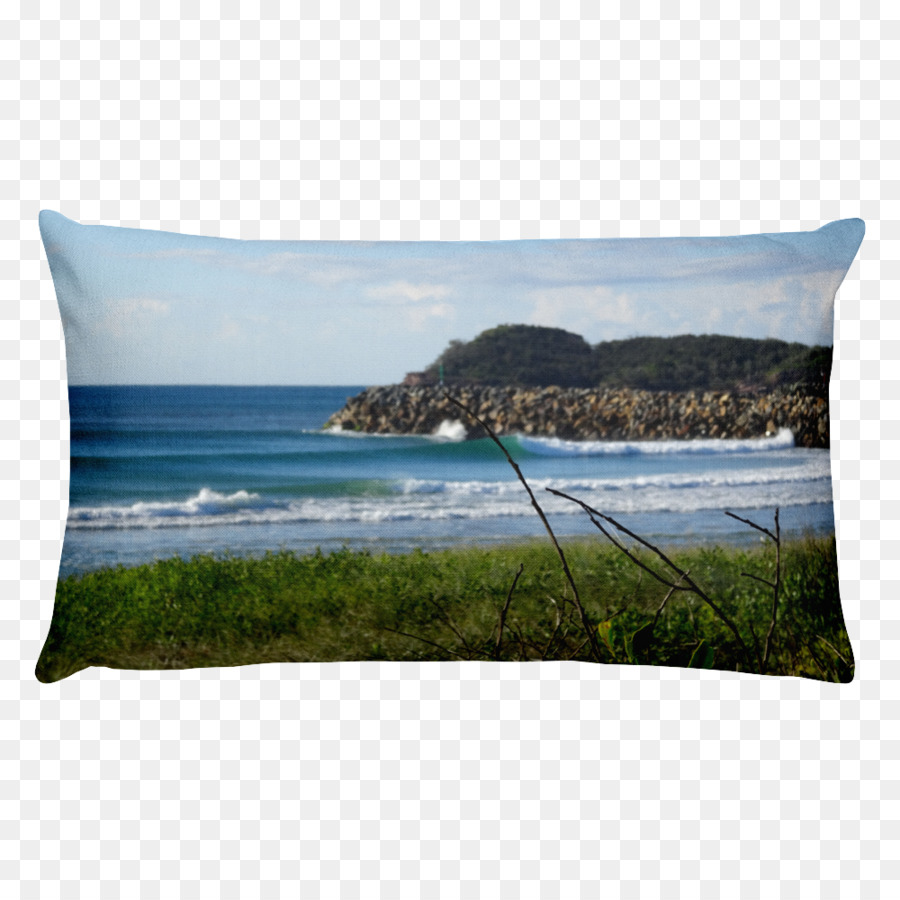 Mono Del Calcetín，Almohada PNG