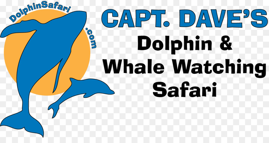 El Capitán Dave Dana Punto De Observación De Ballenas，Cetacea PNG