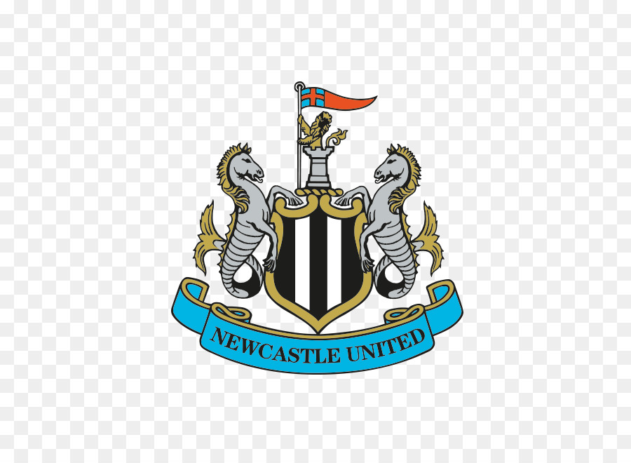 El Newcastle United Fc，St James Park PNG