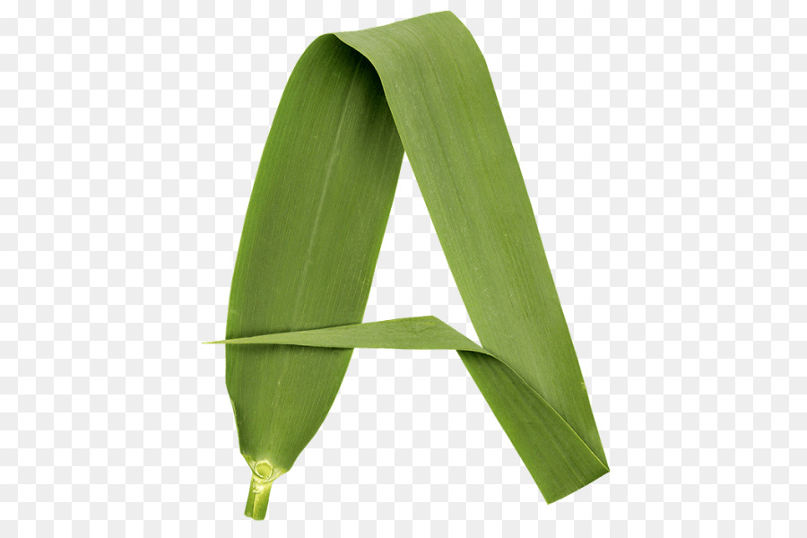 Letra De Hoja Verde A，Alfabeto PNG