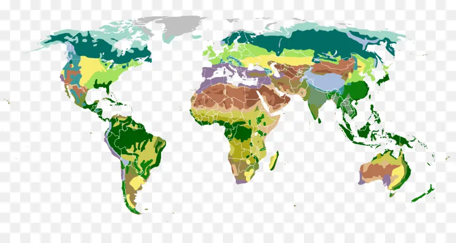 Mundo，Mapa Del Mundo PNG