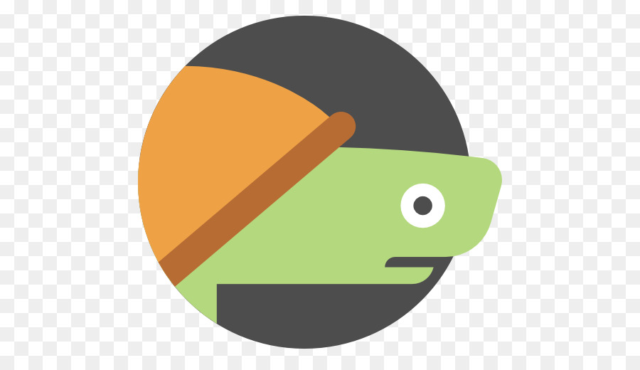 Tortuga，Iconos De Equipo PNG