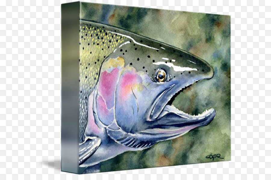 El Salmón Coho，09777 PNG