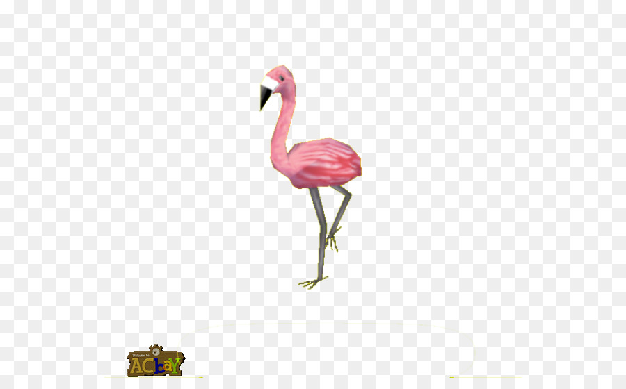 Grúa，Aves PNG