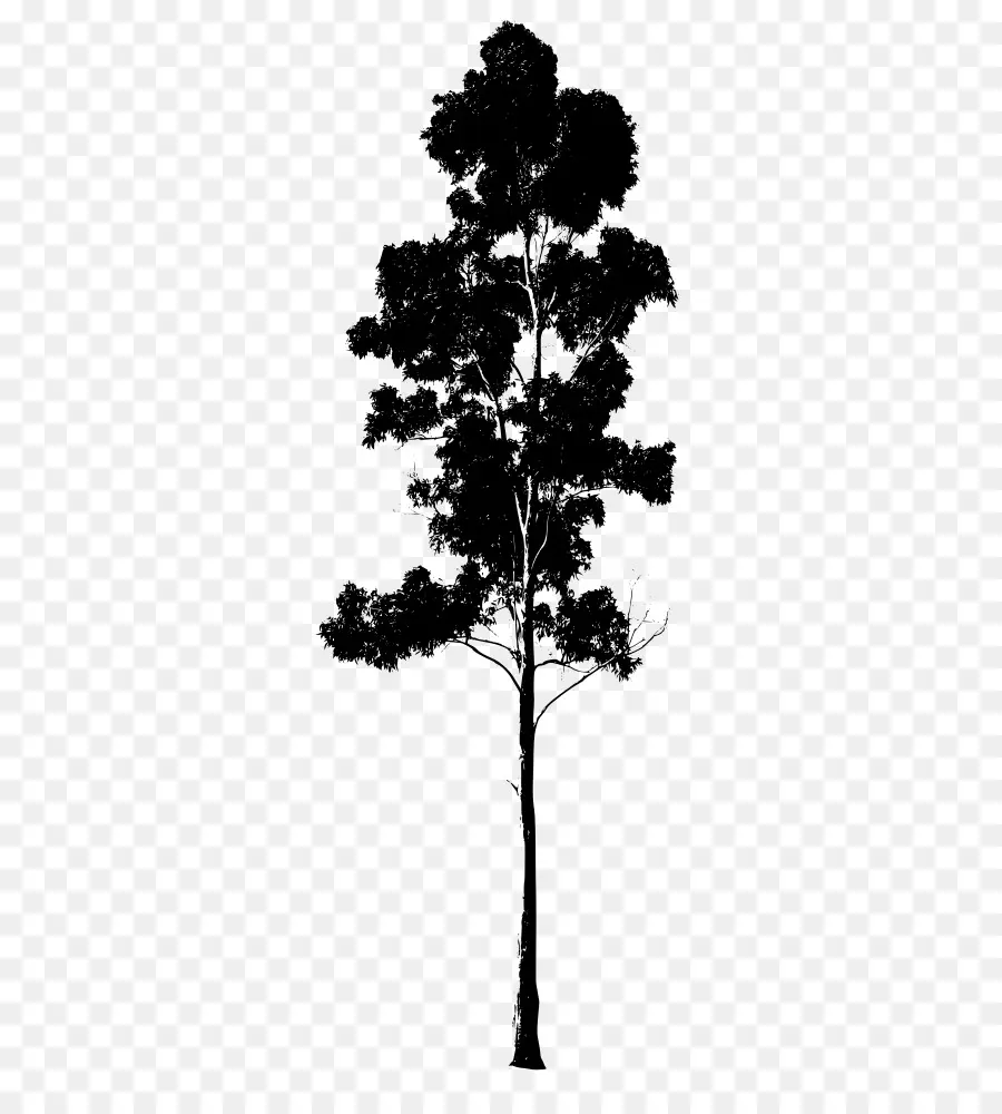 Silueta De árbol Negro，Naturaleza PNG