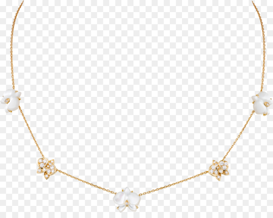 Collar，Joyería PNG